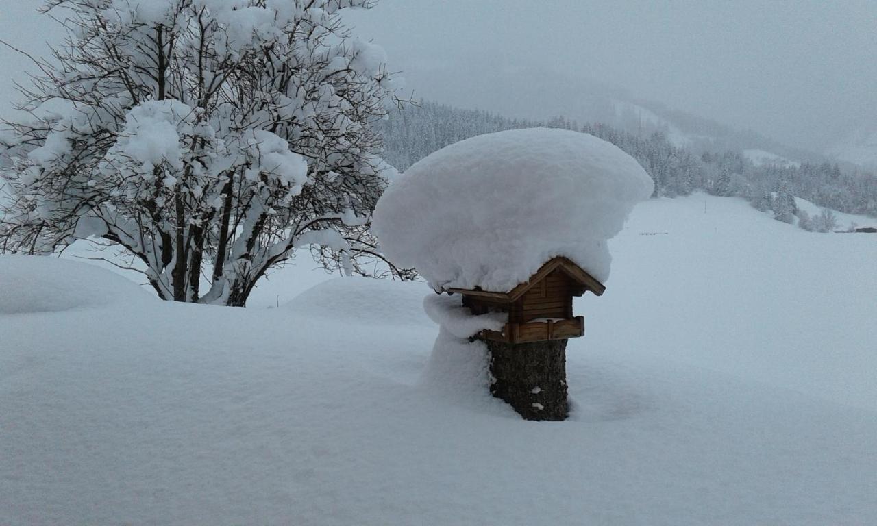 Apartament Haus Kirchner Flachau Zewnętrze zdjęcie